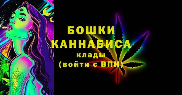 PSILOCYBIN Горно-Алтайск