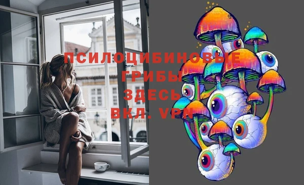марки nbome Горнозаводск