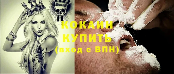 PSILOCYBIN Горно-Алтайск