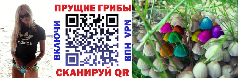 Галлюциногенные грибы GOLDEN TEACHER  Новомосковск 